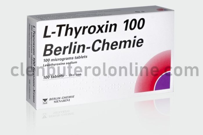 T4 L-Thyroxine 100 tabs / 0.1 mg